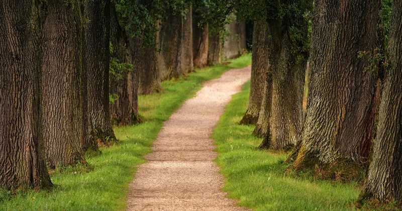 Trekking et éco-responsabilité : les règles à respecter