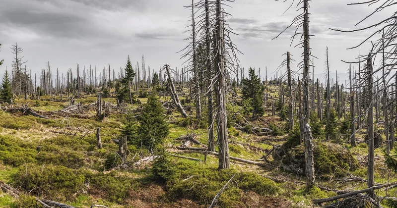 L'impact écologique : la responsabilité qui pèse sur nos épaules
